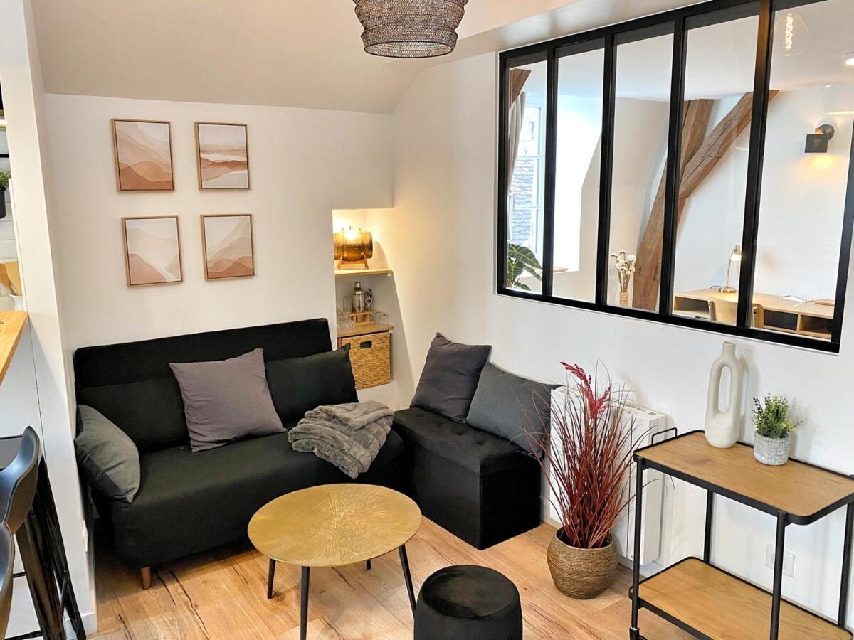 Le Repere Des Sommeliers - Sejour A Auxerre Apartment Luaran gambar
